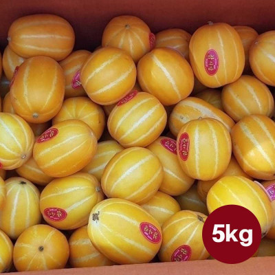 성주 참외 꼬마 5kg(25~30과내외)
